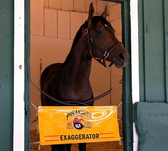 Exaggerator - Pimlico, May 15, 2016
