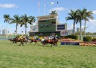 Racing will continue at Gulfstream Park through spring and summer with an influx of new stables