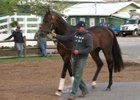Watch Exaggerator Arrive at Pimlico Watch Exaggerator Arrive at Pimlico
