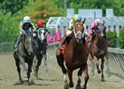 Noble Bird captures May 20 Pimlico Special