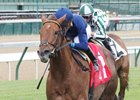 Acapulco Set for Return to Royal Ascot Acapulco Set for Return to Royal Ascot