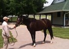 Filly First Black-Type Winner for Dialed In Filly First Black-Type Winner for Dialed In