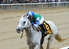 Anchor Down wins the 2016 Westchester Stakes.