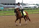 Kentucky Derby News Update for May 5