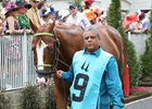 Catalina Red in the paddock before his victory in the 2016 Churchill Downs Stakes