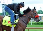 Nyquist, Jonny Garcia up, at Churchill Downs
