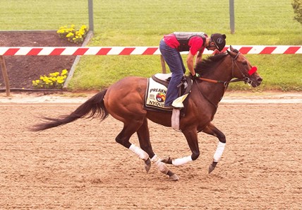 Nyquist - May 13, 2016