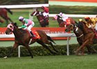 Aerovelocity won the Centenary Sprint Cup in 2016