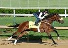 Suddenbreakingnews at Churchill Downs