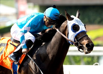 Hans Poetsch's I WIll Score and jockey Martin Garcia are guided into the winner's circle after their victory in the Grade III, $100,000 Lazaro Barrera Stakes, Saturday, May 14, 2016 at Santa Anita Park, Arcadia CA.
© BENOIT PHOTO