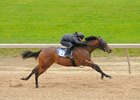 Hip 185, a Gone Astray filly, worked an eighth of a mile in :10.