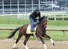 Nyquist Strong in First Churchill Gallop Nyquist Strong in First Churchill Gallop