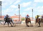 Equibase Adds Quarter Horse Information Equibase Adds Quarter Horse Information