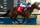 Gamble's Ghost Scores in Selene Gamble's Ghost Scores in Selene