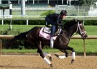 Mo d'Amour on the track at Churchill Downs on May 2, 2016.