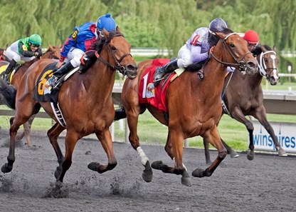 FLIPCUP winning the Arlington Matron at Arlington International on 5/28/16. Chris Emigh up