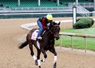 Carina Mia on the track at Churchill Downs May 3