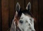 Destin Work is 'Stamina Builder' for Belmont Destin Work is 'Stamina Builder' for Belmont