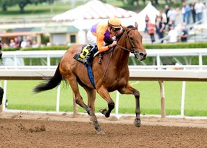 Beholder Dominant in 2016 Debut