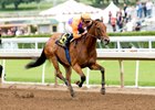 Beholder Dominant in 2016 Debut Beholder Dominant in 2016 Debut