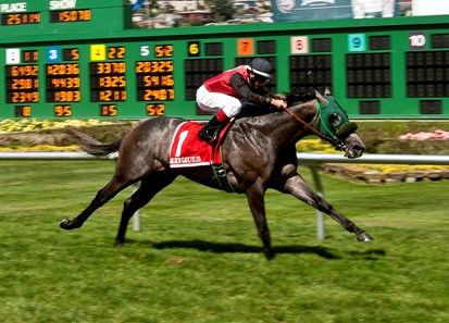 Ed Johnson with jockey Russell Baze won the Alcatraz $75,000 Guaranteed with a time of 1:35.43. Trained by Steven Specht.