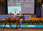 A Fastnet Rock—Temple of Peace colt topped the Magic Millions National weanling sale