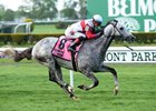 Ironicus Retired to Claiborne Farm Ironicus Retired to Claiborne Farm
