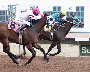 Vocally wins the 2016 C.O. Ken Kendrick Memorial Stakes.