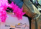 Record Attendance for Black-Eyed Susan Card Record Attendance for Black-Eyed Susan Card