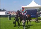 First Starter, First Winner for Frankel First Starter, First Winner for Frankel