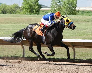Super One wins the 2016 Ingrid Knotts Stakes.