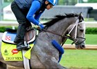 Mohaymen gallops at Churchill Downs prior to his start in the 2016 Kentucky Derby