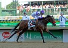 Nyquist Wins Kentucky Derby 142 Nyquist Wins Kentucky Derby 142