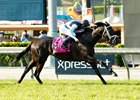 Illuminant wins the Gamely Stakes