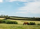 Spendthrift Australia, formerly Yallambee Stud in Victoria