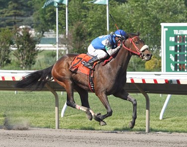 Chublicious #7 with Antonio Gallardo riding won the John J. Reilly Handicap at Monmouth Park in Oceanport, New Jersey on Saturday May 28, 2016.