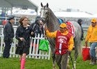 So Far, Seven Pointing for Belmont Park So Far, Seven Pointing for Belmont Park