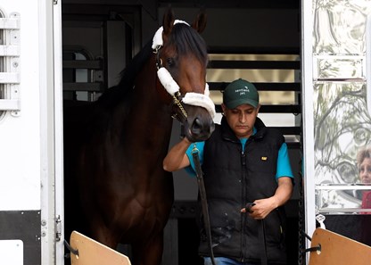Nyquist arrives at Pimlico - May 9, 2016