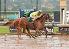 Stakes Winners Featured in Del Mar Paddock Sale Stakes Winners Featured in Del Mar Paddock Sale