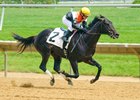 Colt is First Winner for Maclean's Music Colt is First Winner for Maclean's Music