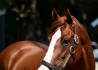 Looking Ahead for Yearling Value Looking Ahead for Yearling Value