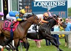 Ben's Cat Does It Again in McKay Turf Sprint Ben's Cat Does It Again in McKay Turf Sprint