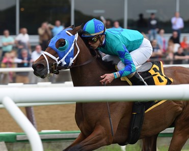 Strike Charmer wins the 2016 Beaugay.