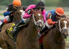 Lexie Lou Back to Winning Ways at Woodbine Lexie Lou Back to Winning Ways at Woodbine