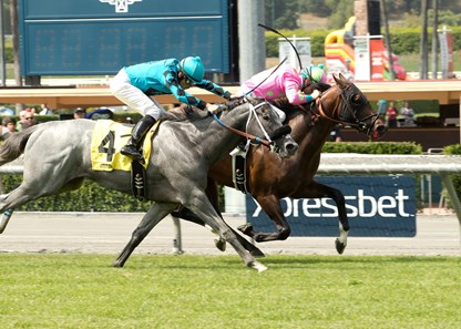 #2 ARCATURE (Flavien Prat)
$75,000 Singletary Stakes
Owner: Arnold Zetcher, LLC
Trainer: Simon Callaghan
Saturday, May 14, 2016
Santa Anita Park
Arcadia CA.