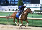Gun Runner Heavily Favored in Matt Winn Gun Runner Heavily Favored in Matt Winn
