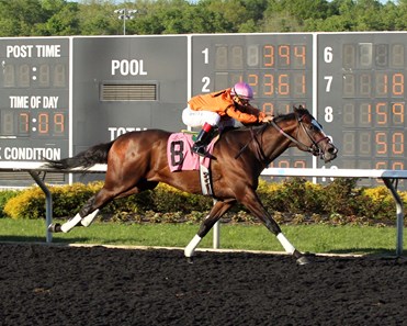 Noholdingback Bear wins the Tom Ridge Stakes May 23, 2016