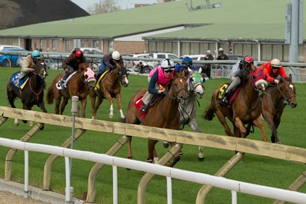 Seven horses sprinted five furlongs out of the gate, clockwise, on the E.P. Taylor Turf Course the morning of May 16 as a trial run for Woodbine's EuroTurf Series slated to start in June.