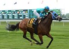 Strike Charmer Rallies to Victory in Beaugay Strike Charmer Rallies to Victory in Beaugay