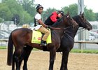 Exaggerator - Churchill Downs, May 3, 2016